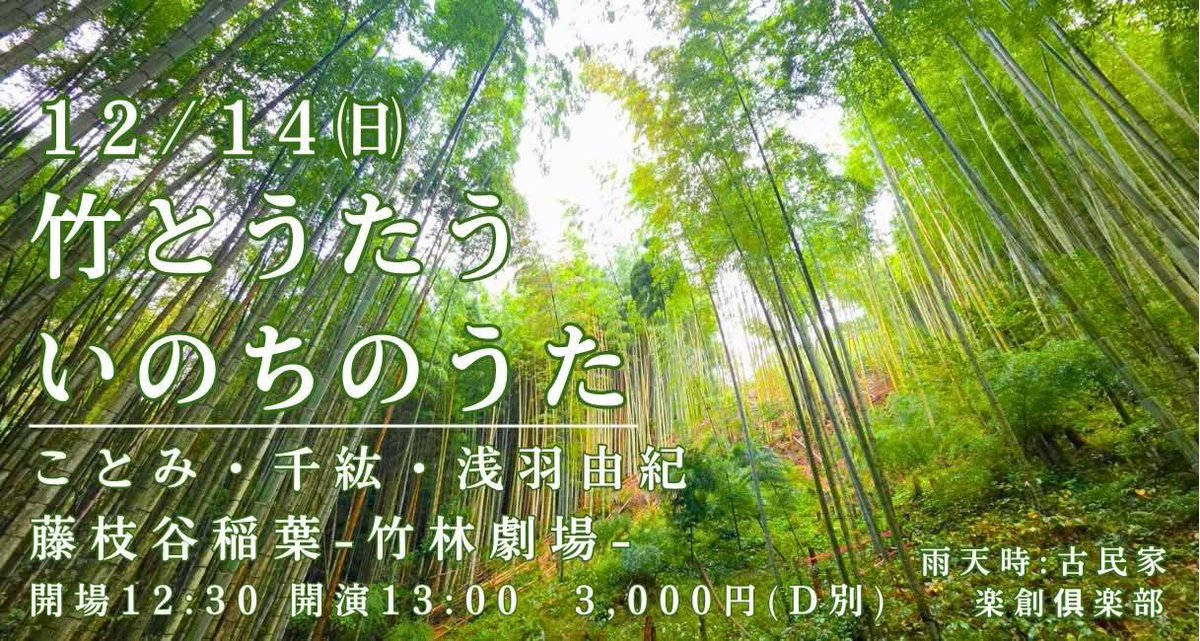 竹とうたう いのちのうた